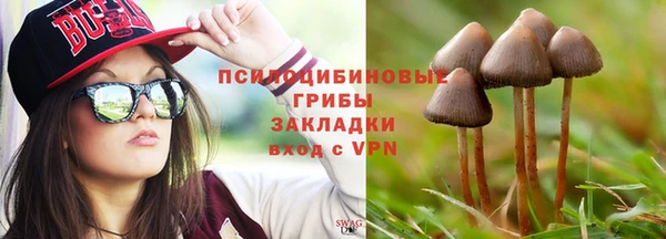 круглые Алексеевка