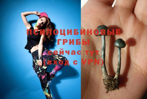PSILOCYBIN Абаза