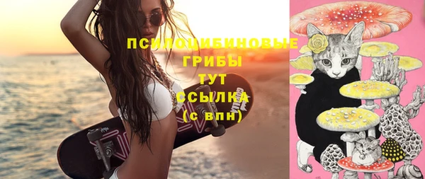 круглые Алексеевка
