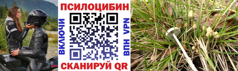 кракен ССЫЛКА  Ермолино  Псилоцибиновые грибы прущие грибы 
